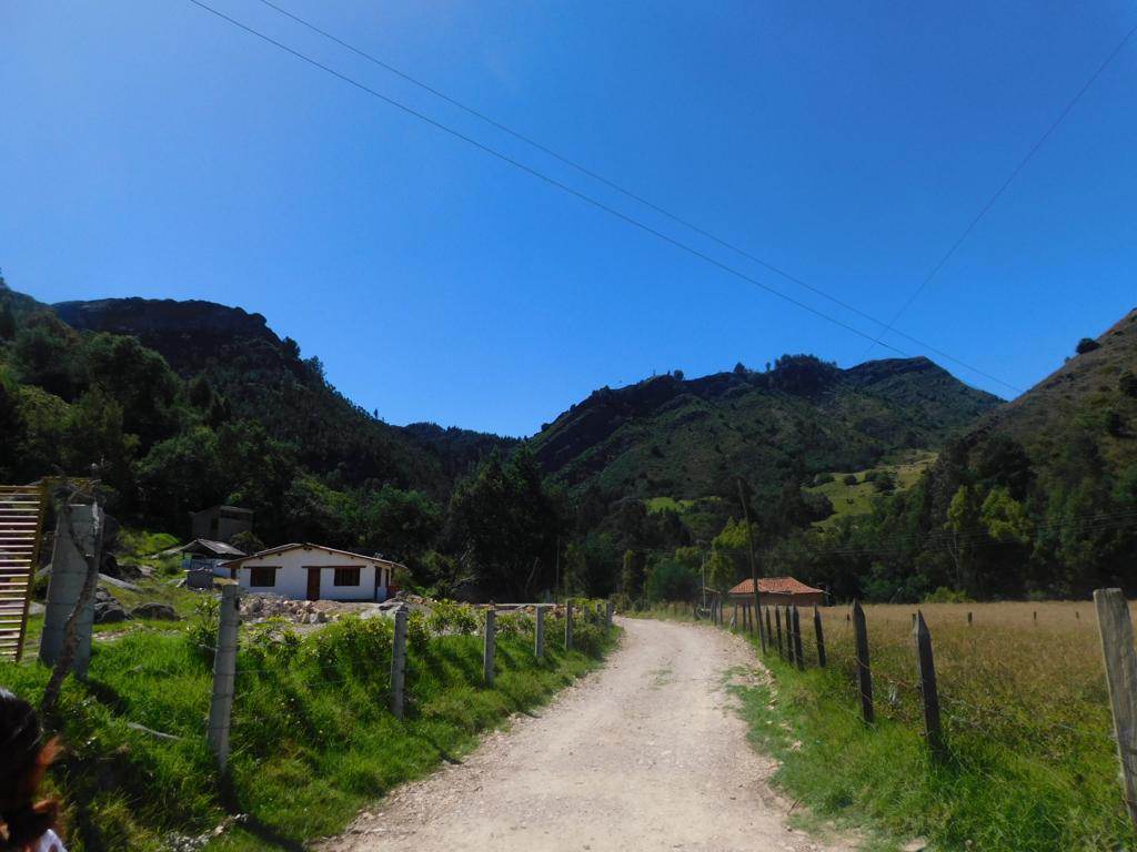 Farallones